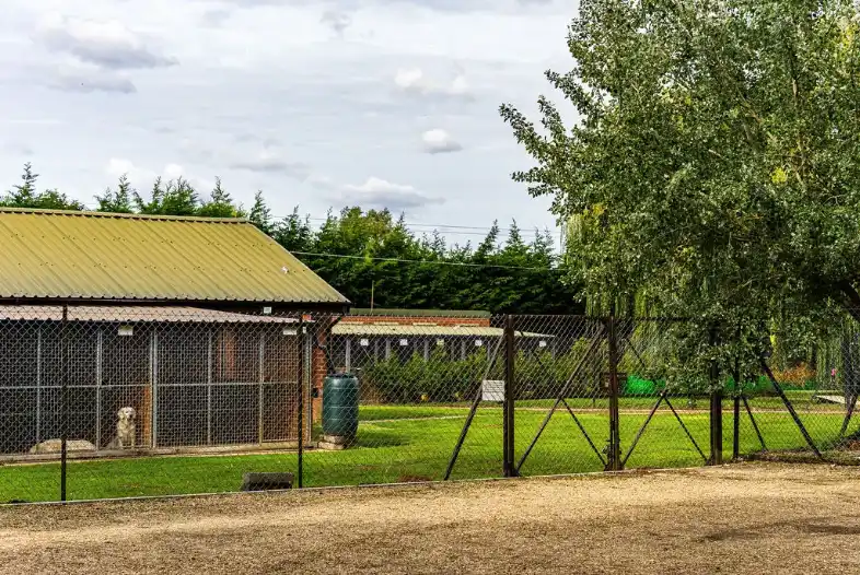 Pine Farm dog kennels and outdoor runs